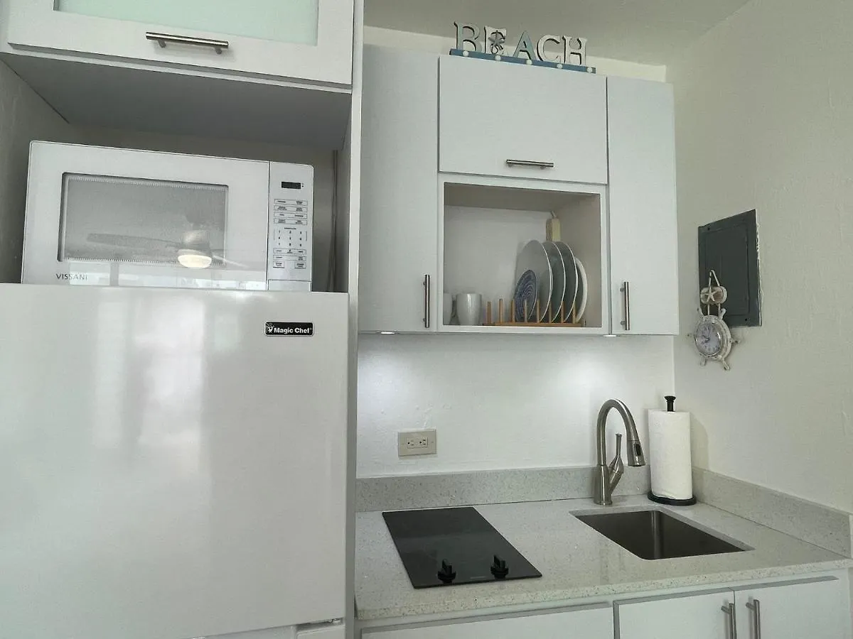 Ricomar Beach Front Studio San Juan Apartment